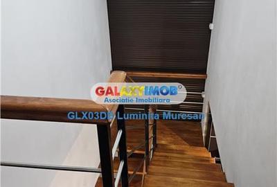 Vanzare casa P + M  5 camere Valea Voievozilor  Razvad - 17