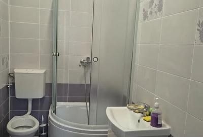 De vânzare casă cu teren 770 mp, în Dâmbul Rotund - 9