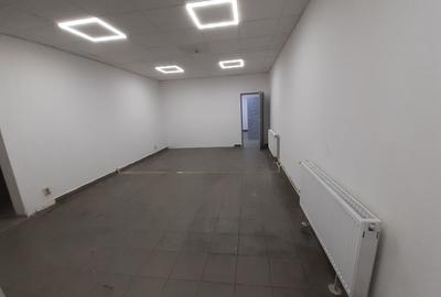 Zona bd. Th. Pallady - hala si birouri 550mp - 13