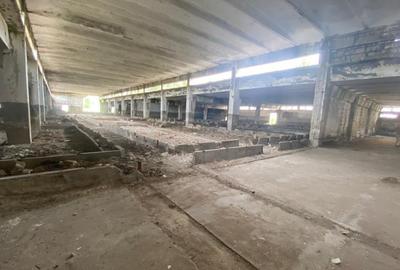 Hale industriale, 30000 mp, teren 65000 mp, zona Podari - 12