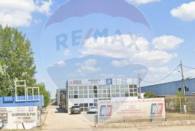 Hala si teren, depozitare, parcare-Spațiu industrial - 22