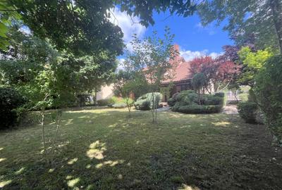Casă deosebită 5 camere – grădină matură - 43