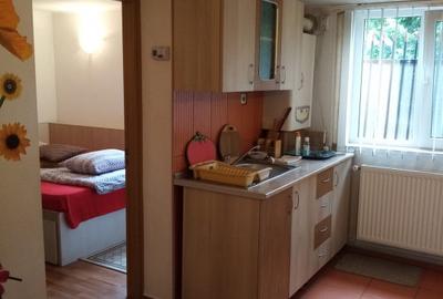 Vila superba 8 camere, Busteni/ Prahova - 28