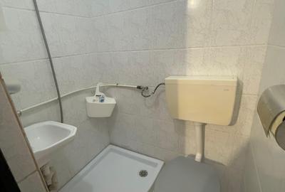 Garsonieră de vânzare în Timișoara, zona Buziașului - AEM | Mobilată și utilată - 6