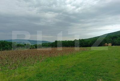 Teren agricol extravilan de 5075 mp, în Vest