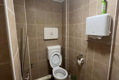 Domenii - 6 rooms villa for rent - 16