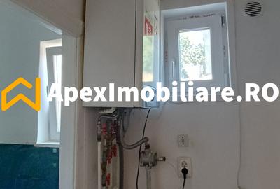Apartament 2 camere de inchiriat Cismigiu București | ApexImobiliare.ro - 10