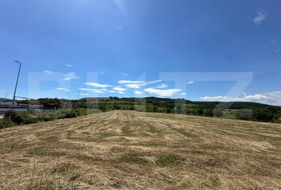 Teren Construcții intravilan de 12647 mp, în Cugir