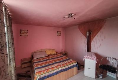 Caransebes, Casa cu Teren de 585 Mp, Zona Sesu Rosu - 4