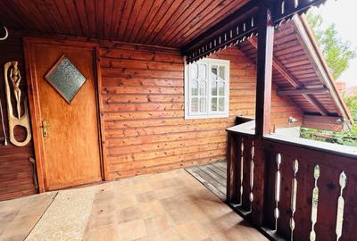 Casa de vacanta - Homoraciu - 19