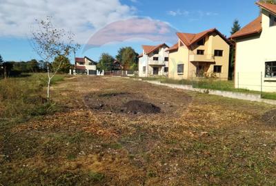 Teren intravilan 1000 mp, Snagov, toate utilitatile, zona padure / lac - 5