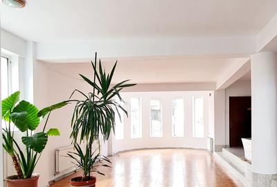 Crangasi- Belvedere  spatiu /Showroom/Creatie/ curte 4 masini - 9