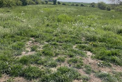 Dascalu 17 km Bucuresti , Urbanism 2026,locul ideal pentru o locuinta familiara! - 5