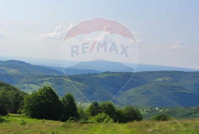 Teren 130000 mp extravilan, faneata si padure, Munteni - Bulz, Negreni - 17