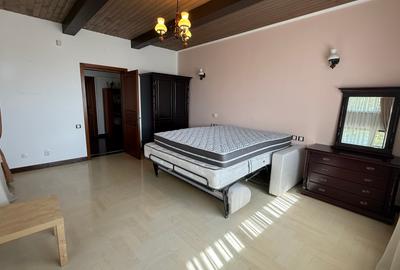 Casă spațioasă și curte generoasă, Titi Aur- destinații multiple - 24