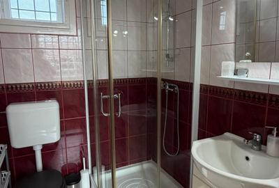 Casa de vacanta la 100m de strandul cu apa termala - 5