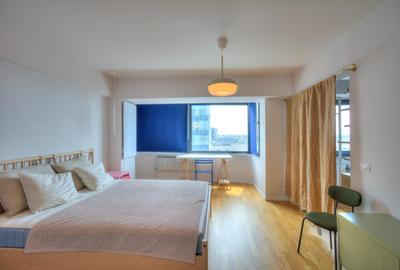 Apartament 2 camere Piata Victoriei - Bd Titulescu - Prima inchiriere! - 15