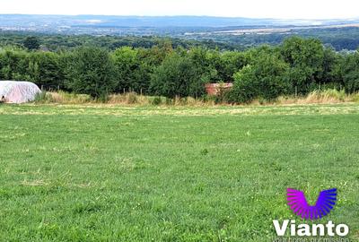 Teren agricol extravilan de 6200 mp, în Rășinari