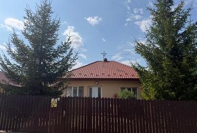 OCAZIE ! DE VANZARE casa (renovata) HORLESTI ( Voinesti ) - 2