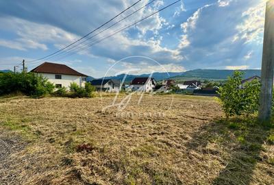 Teren intravilan pentru casa in Talmaciu - 8