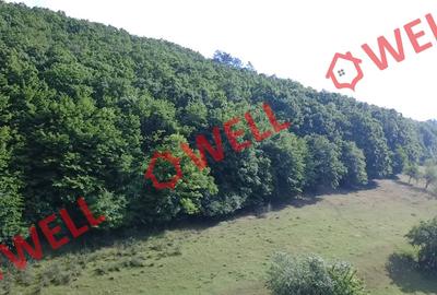 De vânzare păduri mixte în Moacșa! - 5