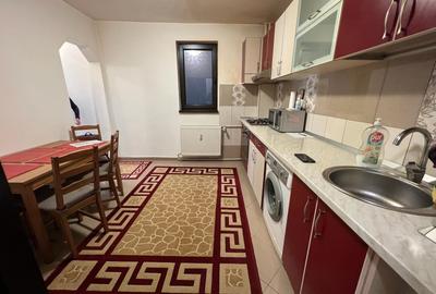 Apartament 2 camere de inchiriat Gorjului (exact in intersectie) - 13