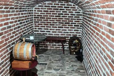 Vila 3 Nivele cu Spatiu Comercial Str. Cuza Voda - 23