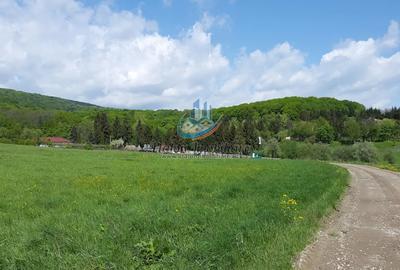 Teren Construcții intravilan de 3900 mp, în Negrești (Dobreni)