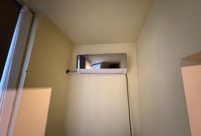 Apartament cu o cameră Buziașului - 6