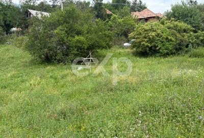 Teren 6348 mp Corbeni/ 1856 mp intravilan/ Utilități/ Aproape de Transfăgărășan - 4