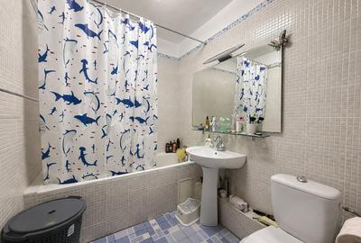 Apartament 3 camere Petre Ispirescu - 13