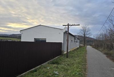 Vânzare HALA INDUSTRIALĂ - 4