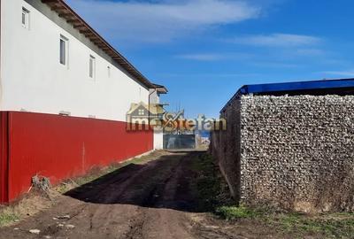 Teren Intravilan Vama Veche | 7.495 mp | Oportunitate Investiție - 3