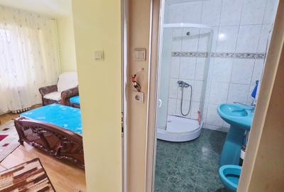 Vanzare apartament 2 camere decomandat, Malu Rosu, parter inalt - 13