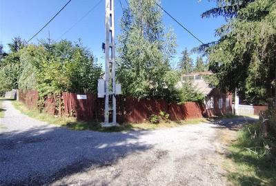 Casa de vacanta (Gheorgheni, zona km 4) - 22