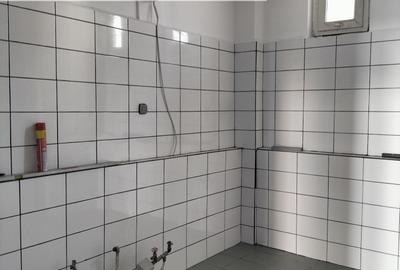 Spațiu comercial 115 mp - Mioveni Central, Bd. Dacia, vitrină 11 m - 8