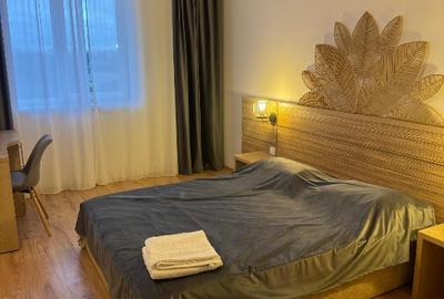 Apartament cu 2 camere semidecomandat, mobilat în Vitan-Bârzești