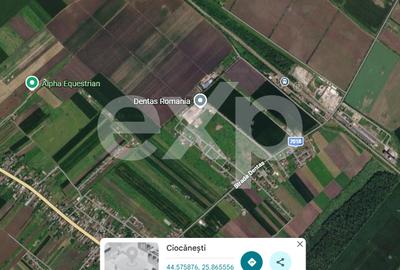 Teren agricol intravilan de 175315 mp, în Crevedia