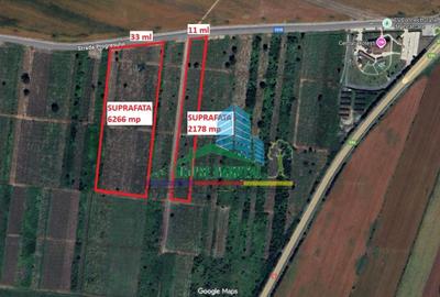 Teren investitie - Restaurant Cerdac(Cotesti) E 85-A 7 - 1