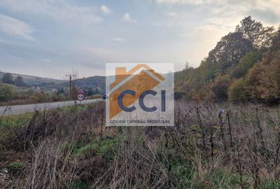 Teren agricol extravilan de 1717 mp, în Mărgineni