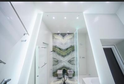 Iancu Nicolae: Penthouse in imobil exclusivist, langa padure! - 8