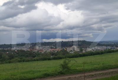 Teren agricol intravilan de 2691 mp, în Vest