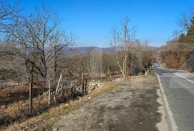 Teren Construcții intravilan de 3000 mp, în Nord