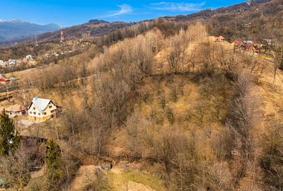 Oportunitate investitie teren  la munte, Prahova | 3.485 mp | View spectaculos - 5