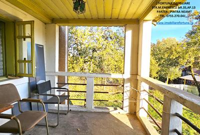 Proprietate cu 6329 mp teren intravilan,Casa P+1 si anexe, Alexandru cel Bun - 8
