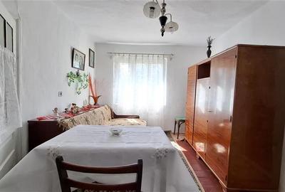 Casa cu teren 2783 mp- Panciu-Satu Nou - 8