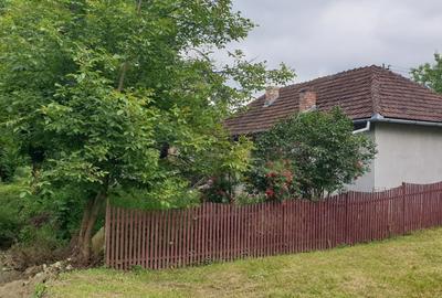 Vand  casa cu gradina - 3