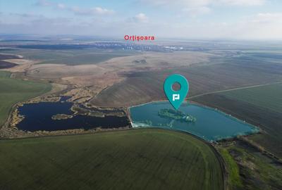 Teren agricol extravilan de 46640 mp, în Orțișoara