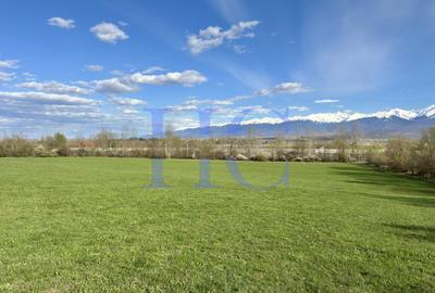 Teren | Sat Bradu, Jud. Sibiu | Ideal Cabane A-Frame & Parcelare - 2