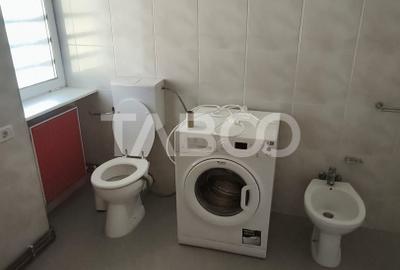 Platforma industriala cu cladiri de vanzare in Salistea de Alba - 12